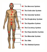 medicdirect Body System